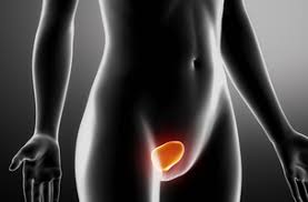 Che cos'è la cistite? Le cause e i rimedi naturali per guarire dalla cistite!