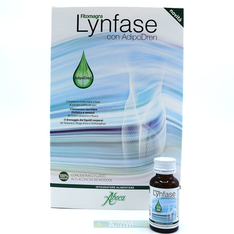 Lynfase Concentrato fluido 12 flaconcini