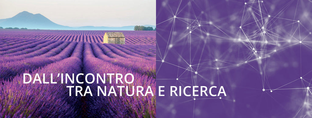 Laila, Nuovo Farmaco Naturale Contro L’ansia A Base Di Olio Essenziale Di Lavanda.