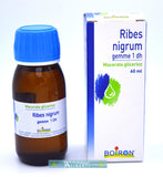 Ribes nigrum gemme 1 dh macerato glicerico